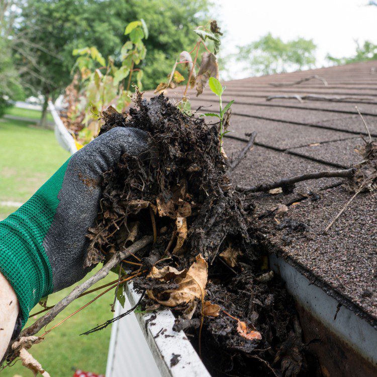 Exterior Services in Shelby, NC Exterior Services in Shelby, NC